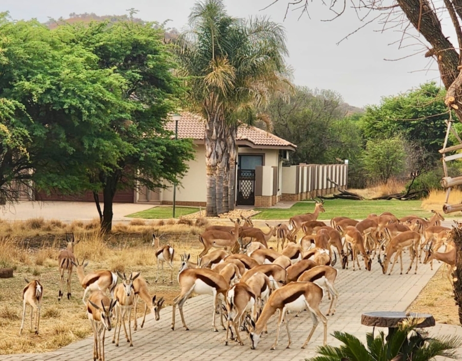 3 Bedroom Property for Sale in Wilkoppies North West